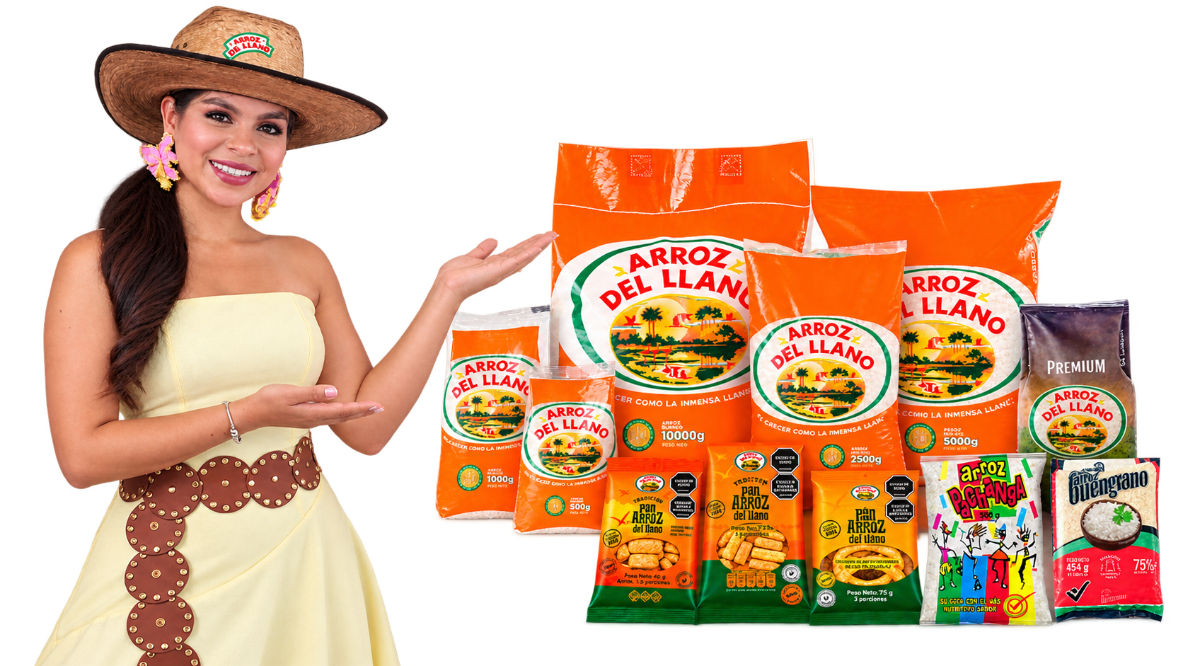 Arroz del Llano