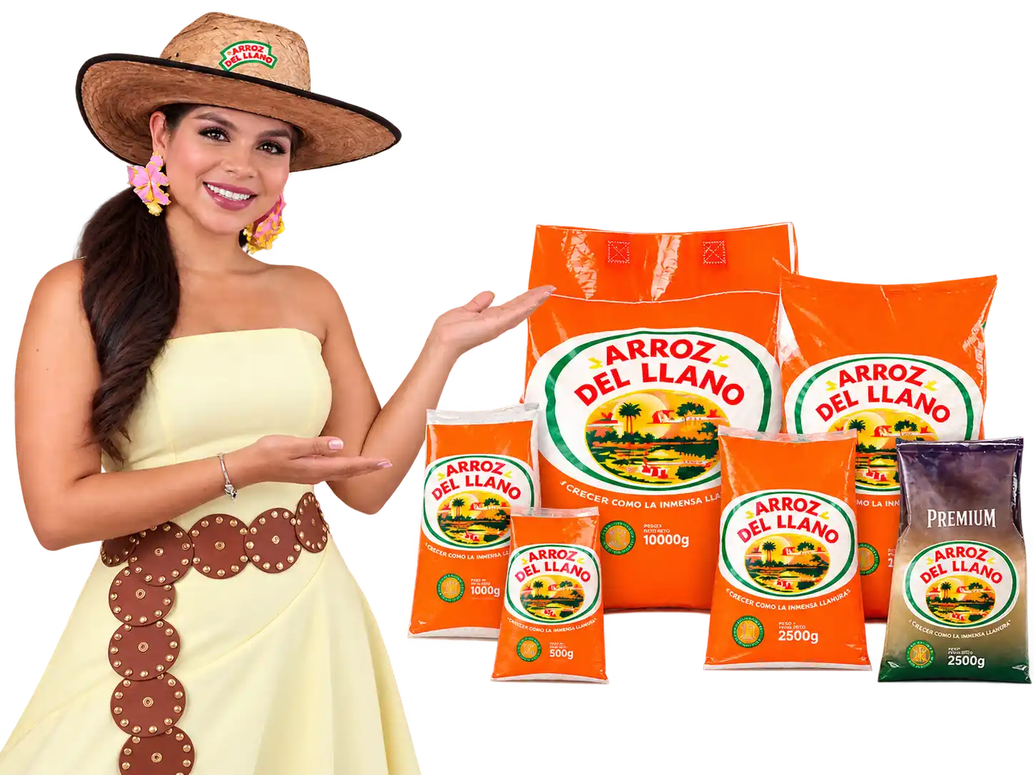 Arroz del Llano